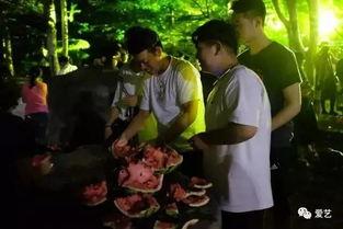 学校跳舞吃瓜事件,一场跳舞引发的吃瓜盛宴