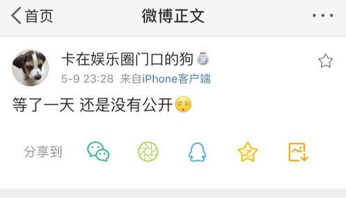 吃瓜爆料处,吃瓜爆料处的幕后真相