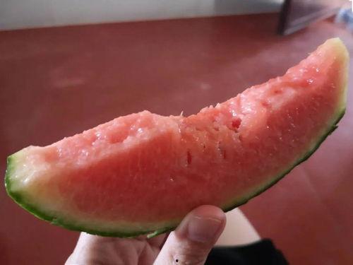 云彩吃瓜,一场视觉与味蕾的双重盛宴