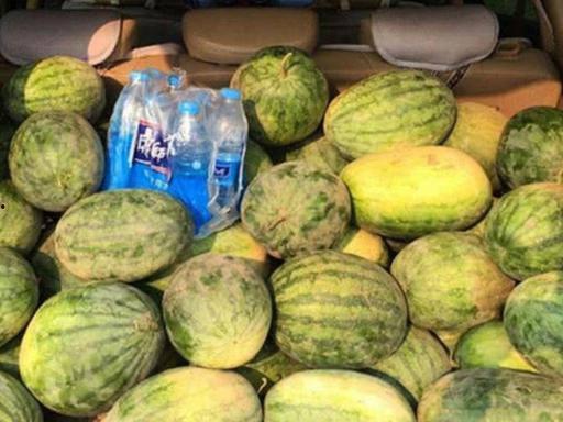 车配龙吃瓜,揭秘汽车行业那些鲜为人知的趣闻轶事