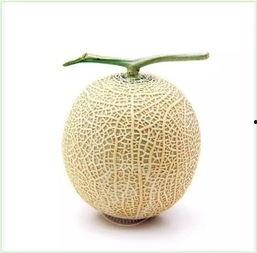 网上吃瓜头像,从吃瓜头像看流行文化演变