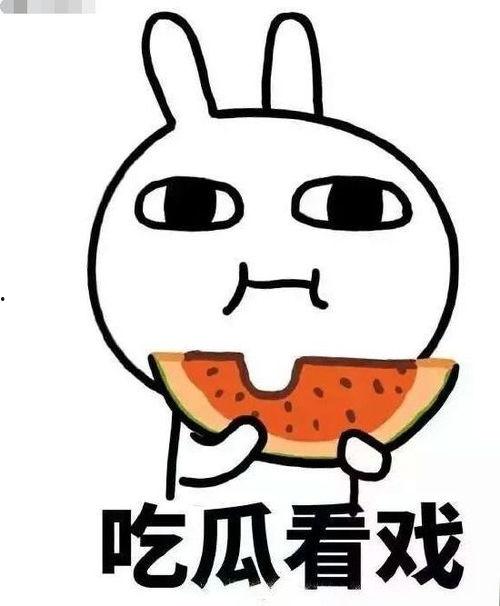 叮崽吃瓜