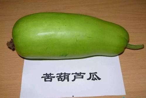 吃瓜群众甜一点的瓜